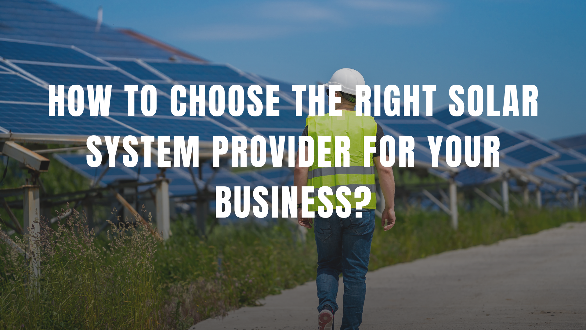 How to Choose the Right Solar System Provider for Your Business